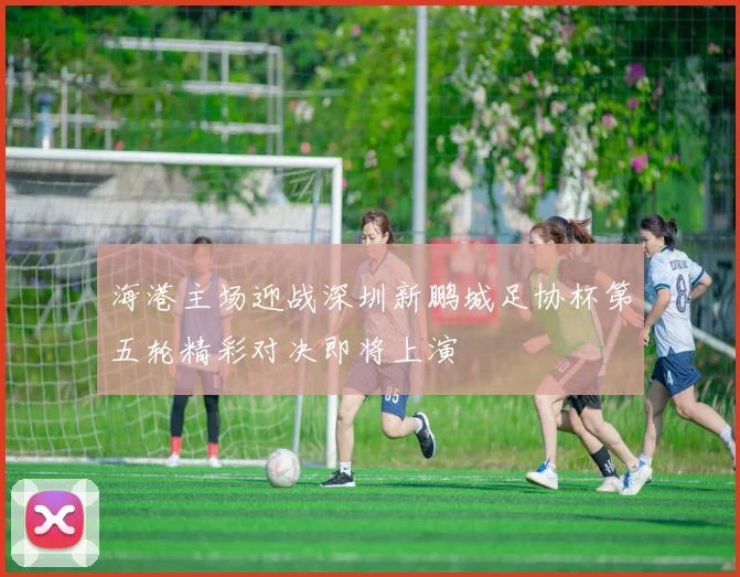 海港主场迎战深圳新鹏城足协杯第五轮精彩对决即将上演